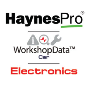 Immagine di Haynes Pro Workshop Data Electronics Car versione per PC