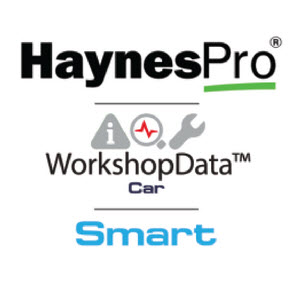 Bild von Haynes Pro Workshop Data Smart Car PC Version